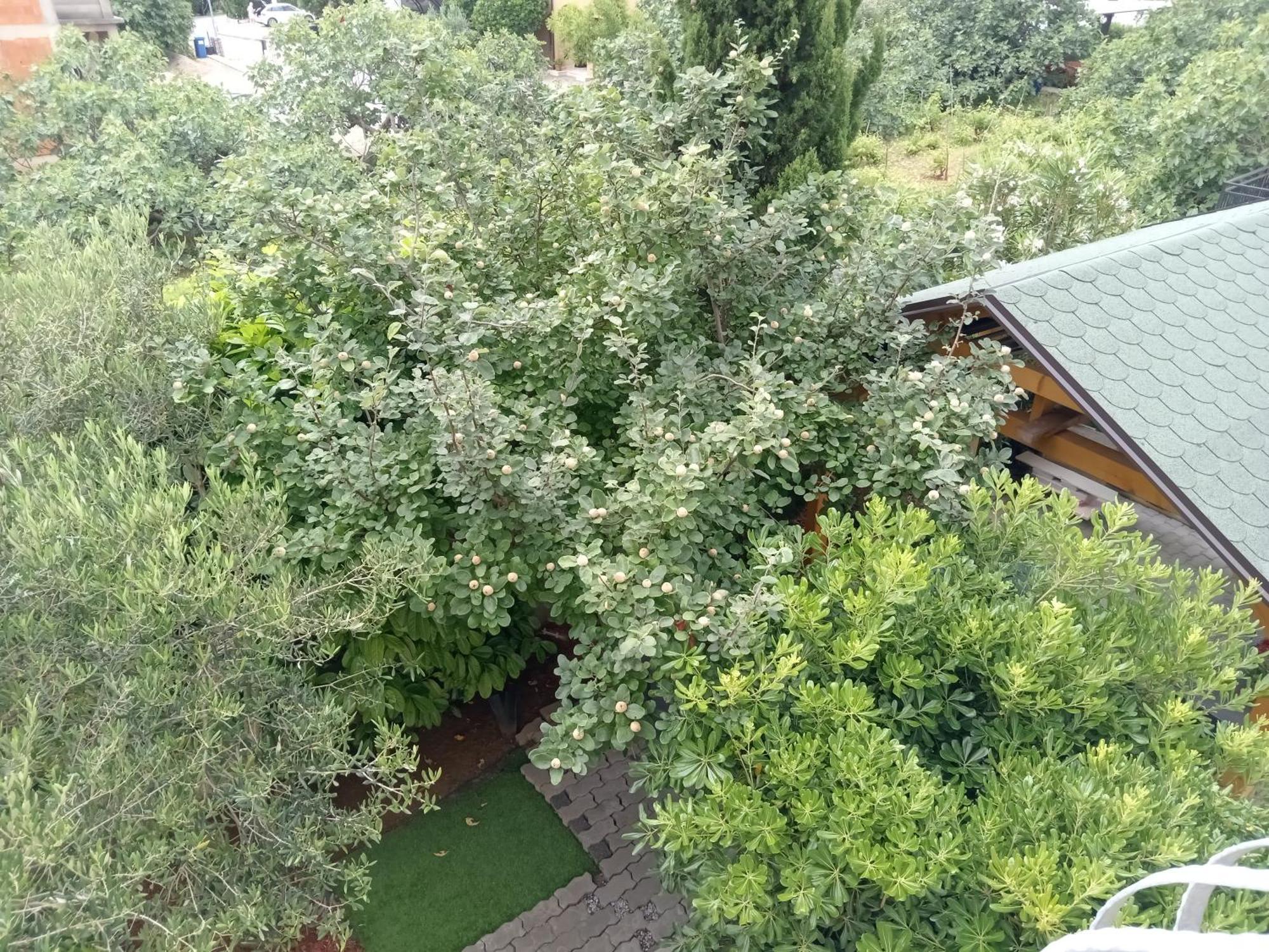 Ana Rooms Krk Town Exterior foto